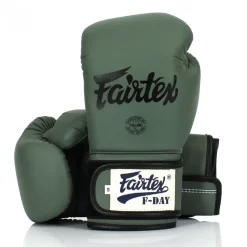 Fairtex BGV11 F-Day Muay Thai Gloves